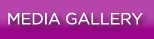 Media Gallery